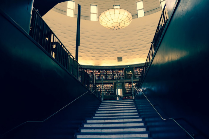 İngilizcede Canlılar için 'It' Kullanımının Nedenleri